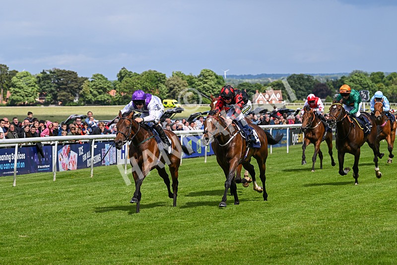 290524-Race 3-Puella Law-5946 - Race 3