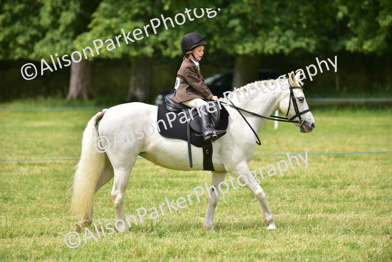 20260614-4182 - Class 17 - Best Mane and Tail