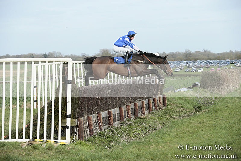 PtP 230319 343 - VWH Hunt Siddington Point-to-Point Racing 23/03/19