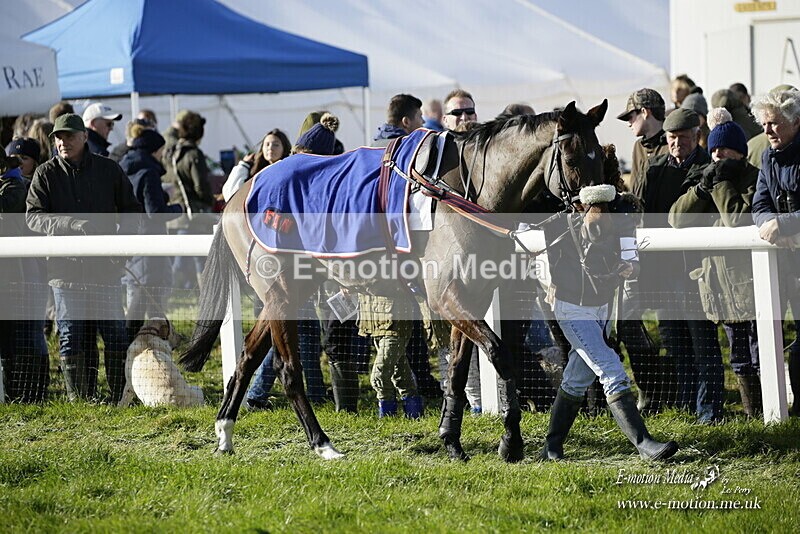 PtP 250921 0107 - Point-to-Point Badbury Rings Dorset 07/11/2021