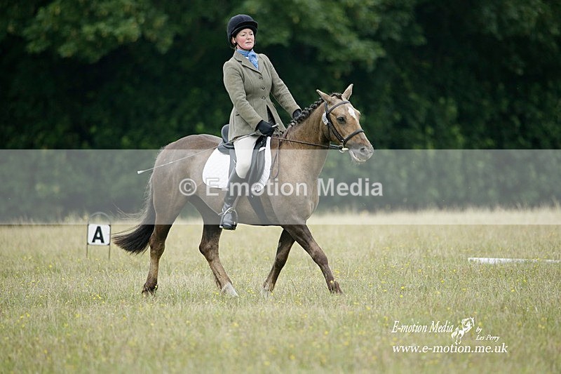 BVRC 030721 518 - Bourne Valley Riding Club Dressage 03/07/21