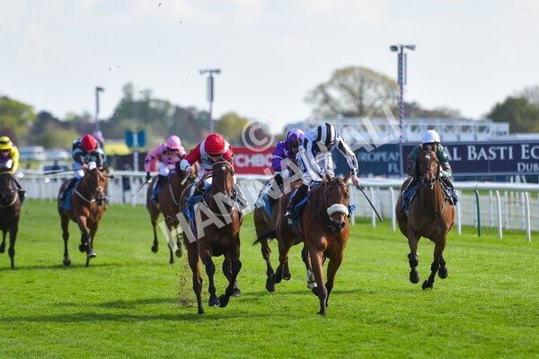 yr13052021r7-30 - Race 7 4.50pm Autohorn Stakes