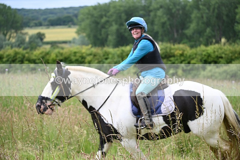 WJ6_8138 - Camera 1 Gallops
