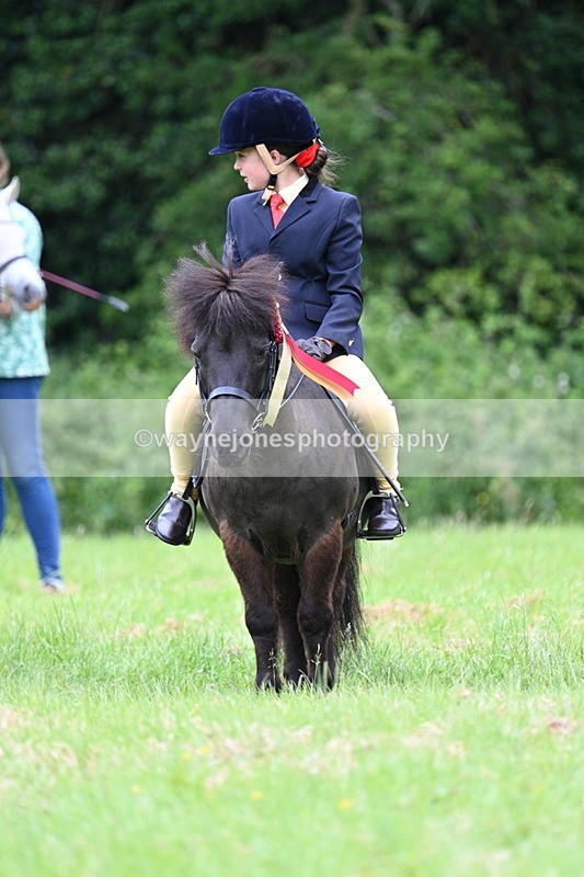 WJ7_4251 - Class 14A Handsome Gelding