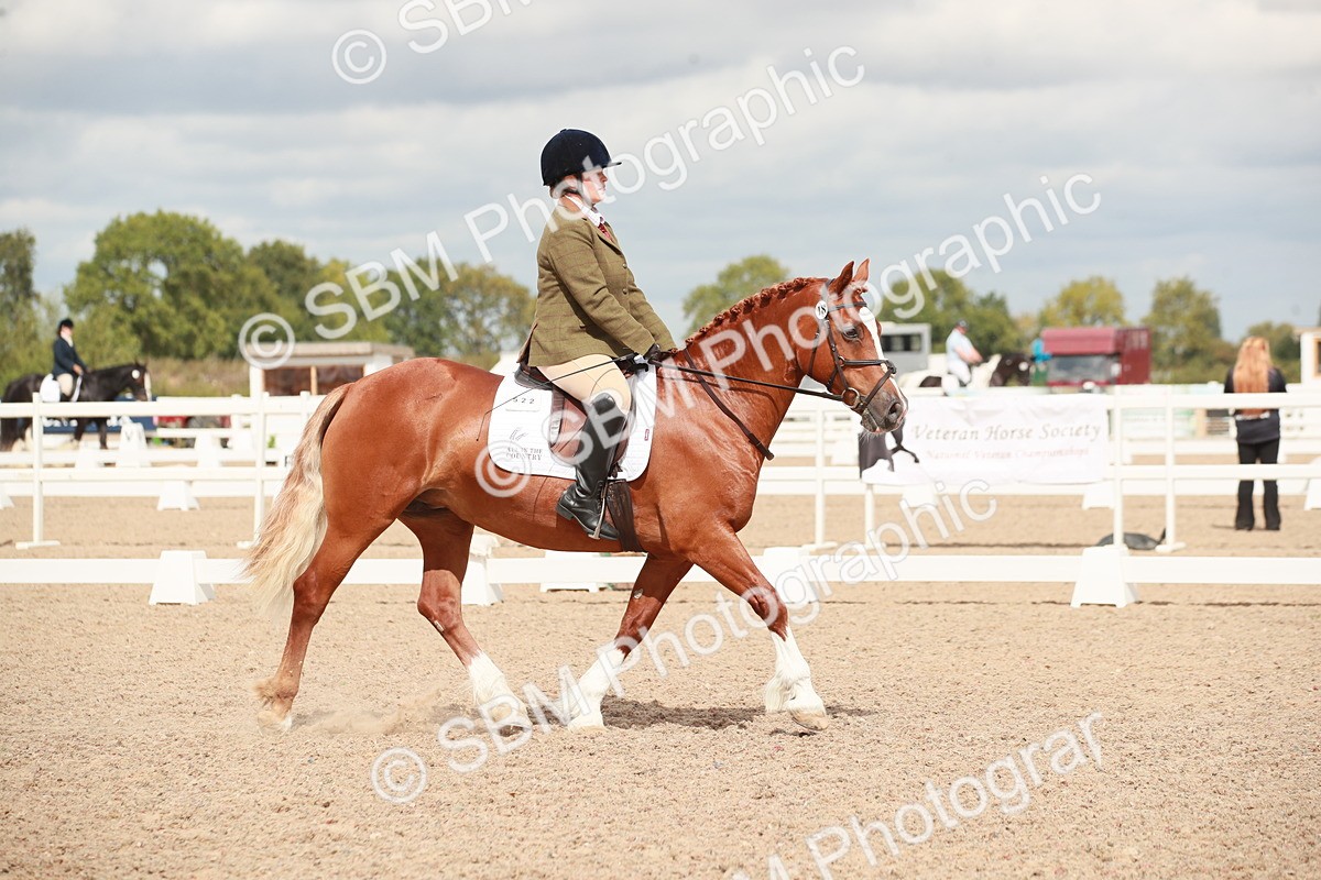 SBM_05851 - Class 32 - Novice 1