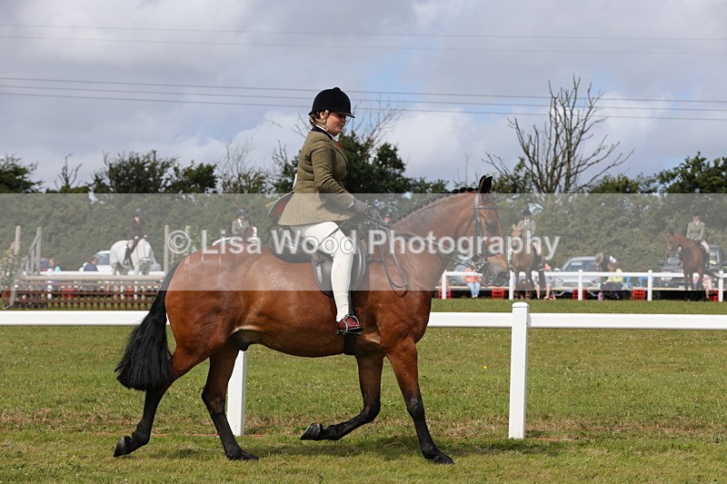 1X9A3977 - Class 32: Show Hunter Pony 153cm and under