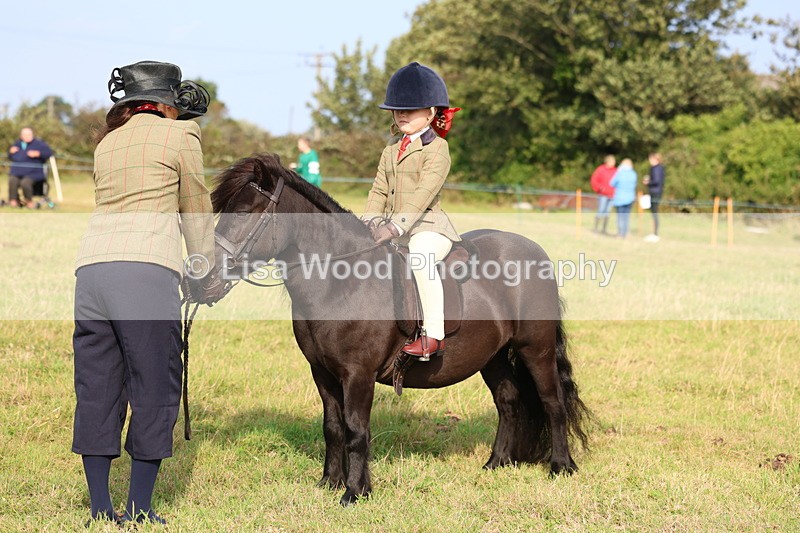 3E7A3666 - Class 2: Lead rein