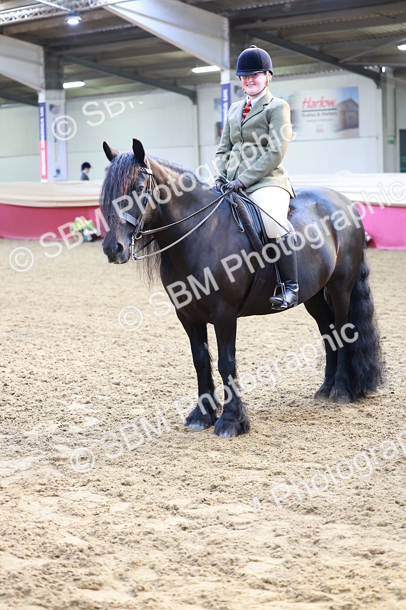 SBM_11975 - Class 102 - Equitation (Best Rider) Adult