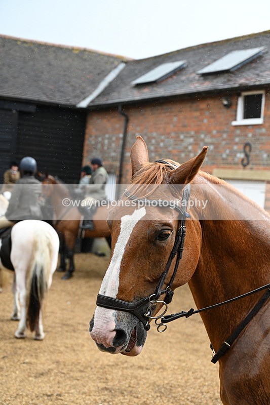 WJ7_6954 - Berks & Bucks at Blandy’s Farm 31-08-25