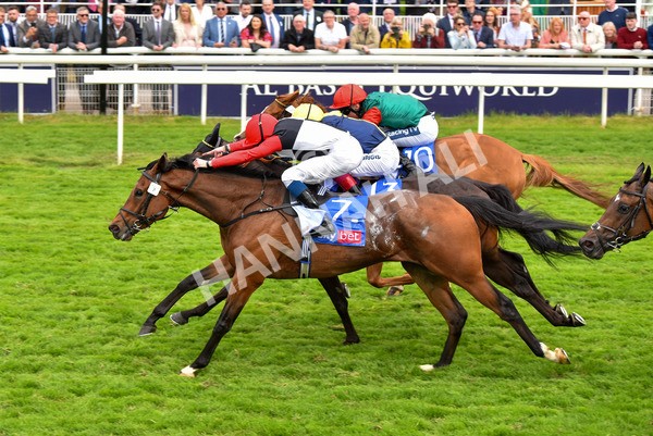 180523-Race 3-Croupier-9684 - Race 3 3.00pm Sky Bet Hambleton Handicap