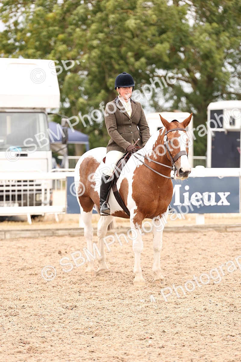 SBM_19580 - Class 215 - Ridden Show cob