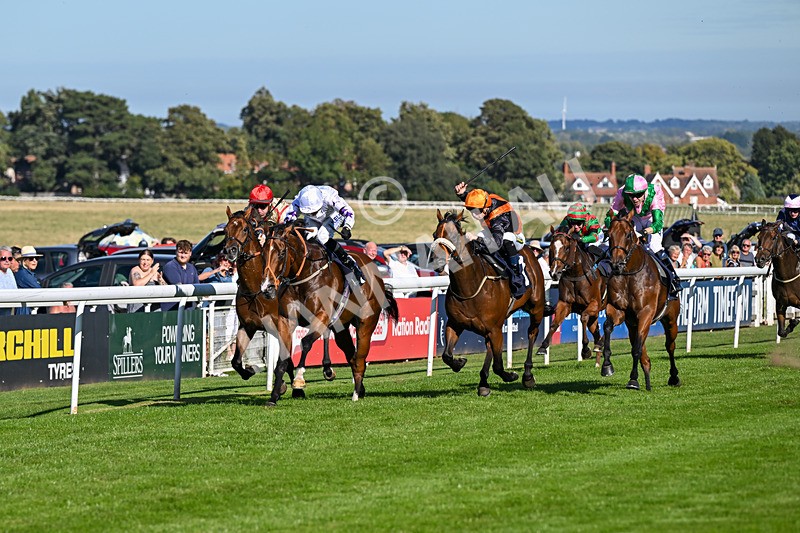 220926-Race 4-Toca Madera-3987 - Race 4 3.15pm Eddie And Violet Smith Conditions Stakes