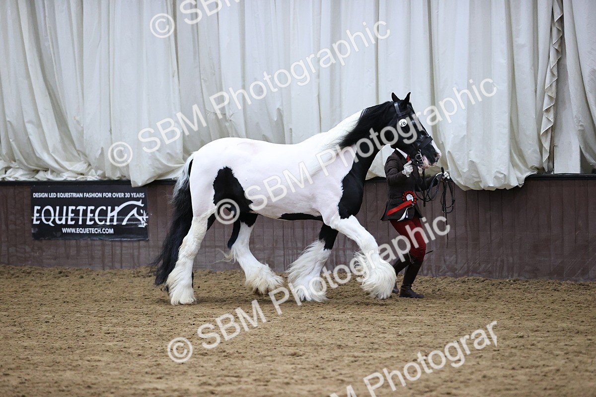 SBM_5702 - Class 40 - RESS In Hand Qualifier