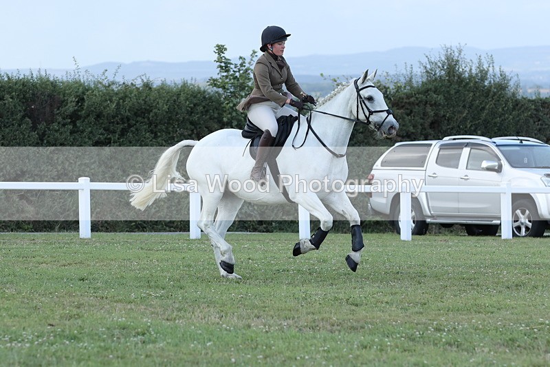 JPP_3611 - Class 24: Open Working Hunter