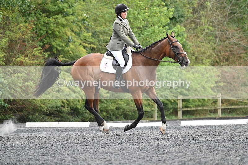 WJ7_6469 - Time 11:38 to 12:03