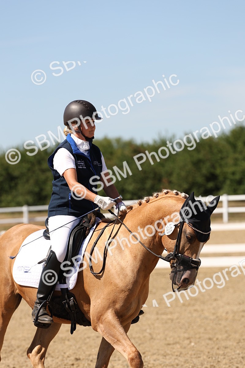 SBM_003664 - Elementary 4