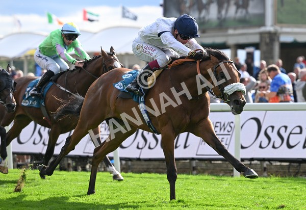 210825-213 Stellar Sunrise - Race 6 4.45pm Mews Hotel Ossett EBF Stallions Nursery Handicap