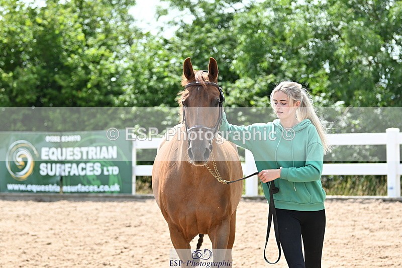240717A-145017-02331 - Trot Up 2pm to 3pm - This folder is not in time order