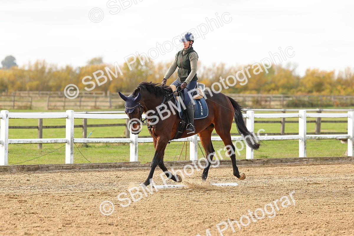 SBM_001311 - Class 13-4-9 - DR P3 CT P3 70cm CT PYO