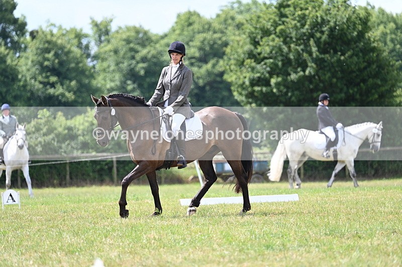 WJ7_4786 - Time 11:22 to 11:51