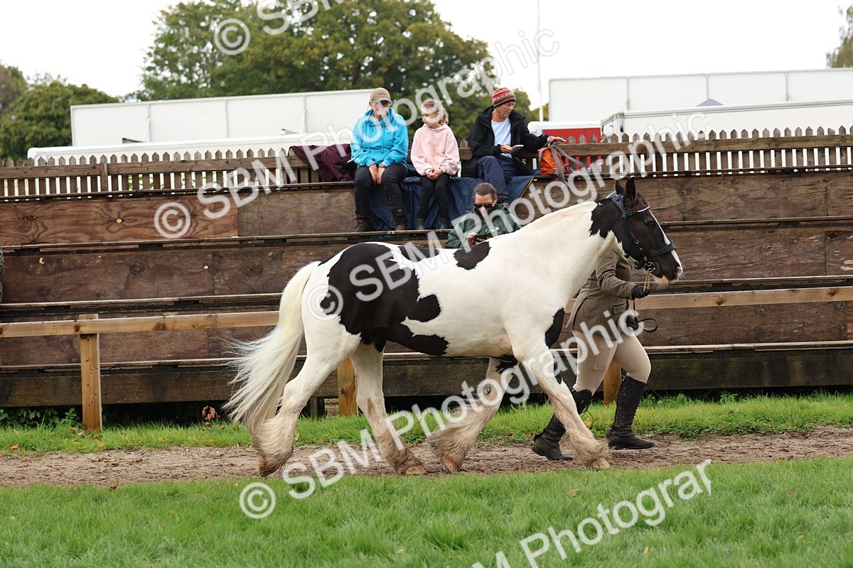 SBM_39484 - S24 - Young Veteran In Hand