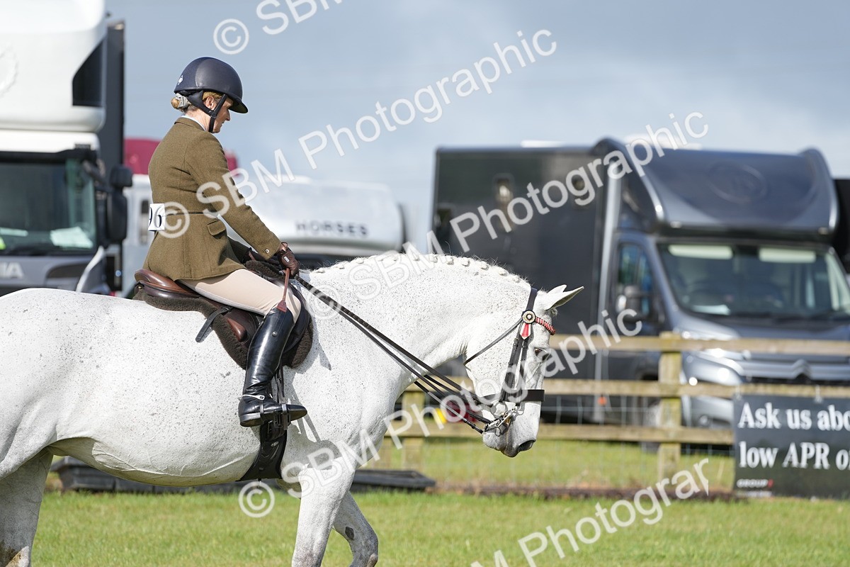 SBM_10562 - Class 97-98 - LIHS BSHA Rising Star Working Show Horse Hunter