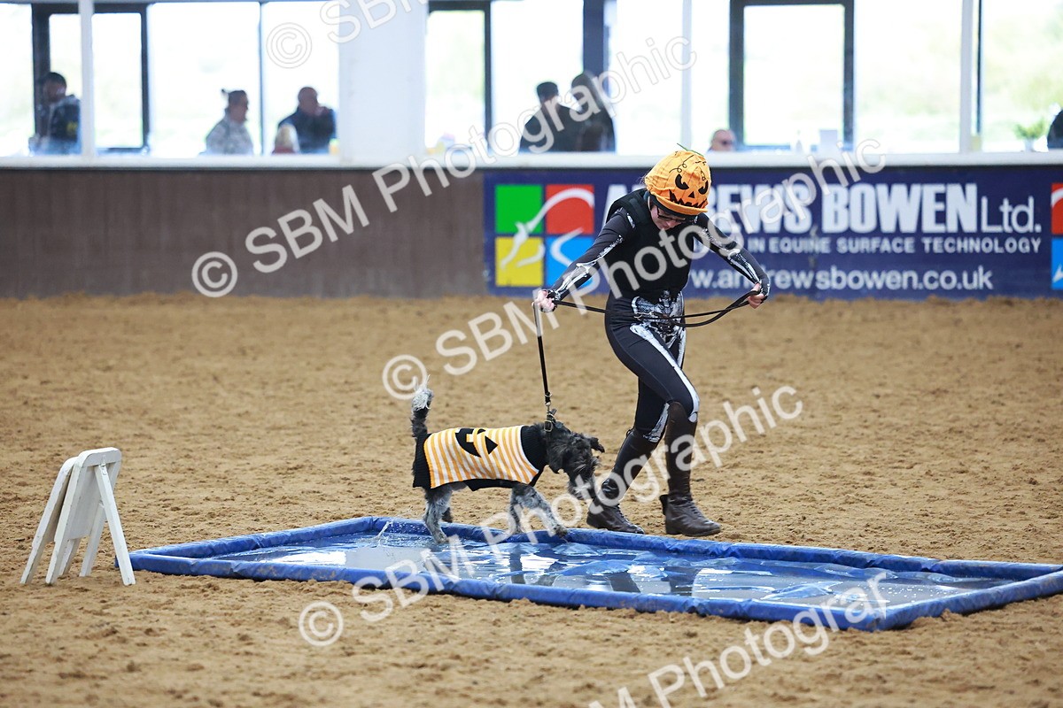 SBM_001626 - Class 3 - Horse & Hound (60cm)