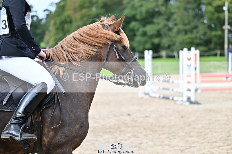 251005A-135753-04230 - Cls 09 Nov 80-85cm