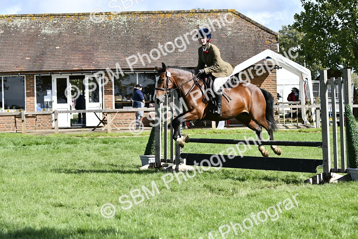 SBM_45730 - S33 - Working Hunter Pony