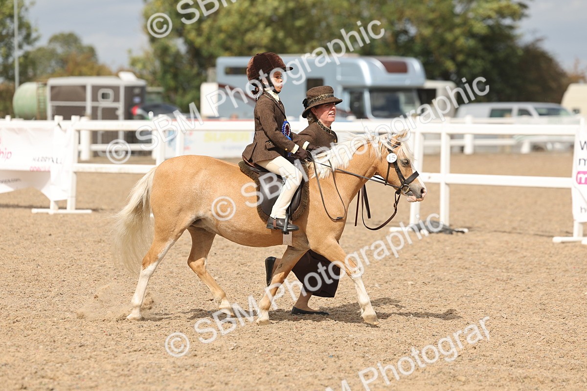 SBM_15857 - Class 309 - Lead Rein Pony