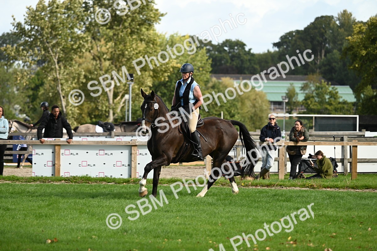SBM_02035 - S2 - TSR Ridden Horse Showing