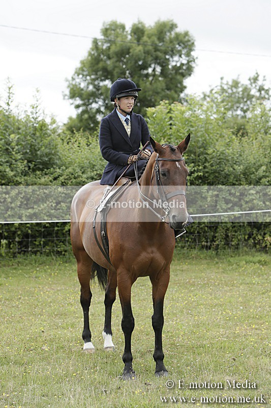 BVR160717-2382 - Side Saddle Classes 16/07/17