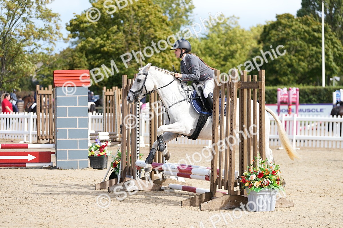 SBM_20607 - J49 - Open 50cm