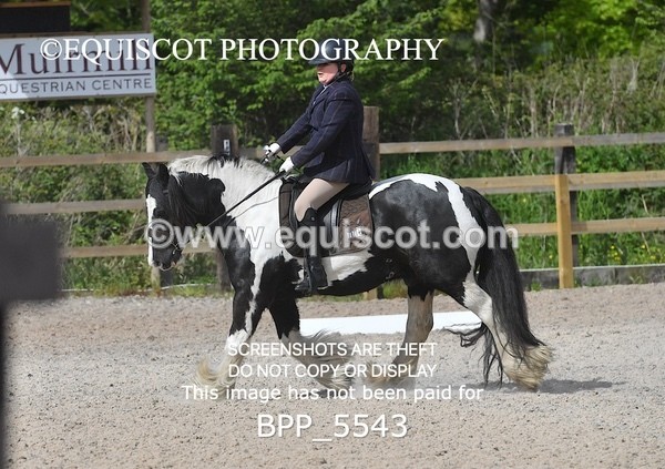 BPP_5543 - 4 L DENHOLM