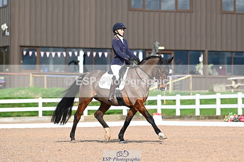 240218A-135857-07933 - 174-Charlie.Cornish-Dali.Van.Het.Burghof.Z