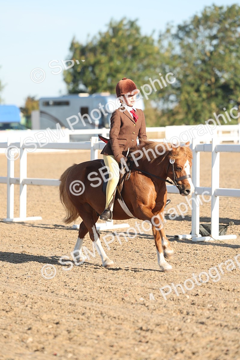 SBM_10903 - Class 301 - Ridden M&M Small Breeds