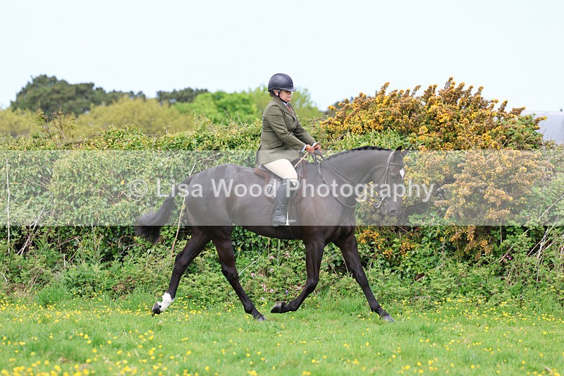 3E7A1317 - Class 7: Ridden Hunter Type