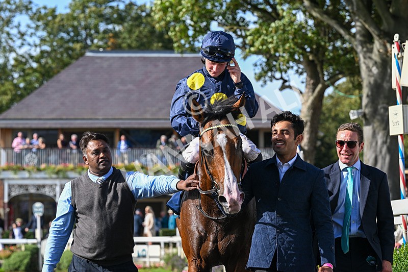 060926-Race 5-Extremely Zain-8555 - Race 5 3.50pm Starman At Tally Ho Stud Garrowby Stakes