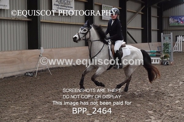 BPP_2464 - CLASS 16 Pony BritiNovice / 0.80m Open