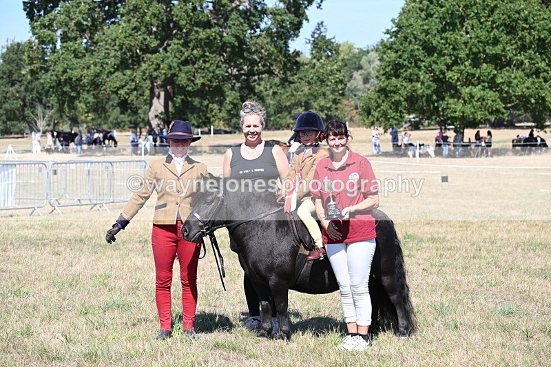 WJ6_8122 - Class 36 Lead Rein