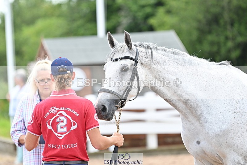 240717A-143803-02159 - Trot Up 2pm to 3pm - This folder is not in time order