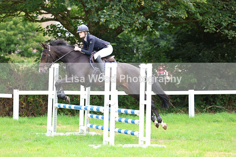 3E7A6979 - Class 5: Senior British Novice/90cm open