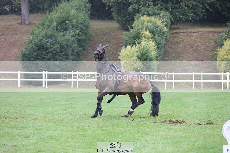 250830A-135648-06846 - Cls 16 Snr Newcomers and 1.10m Open