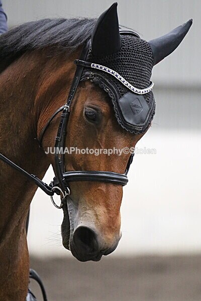 SIAL5321 - CAbin Dressage 5th july 2025