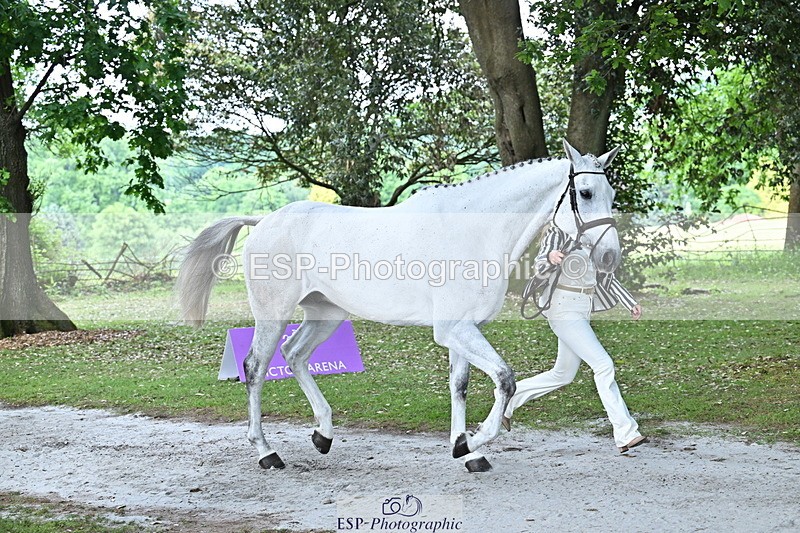 250521A-170342-01498 - C-283-Laura.Collett-COOLEY.ICEAGE