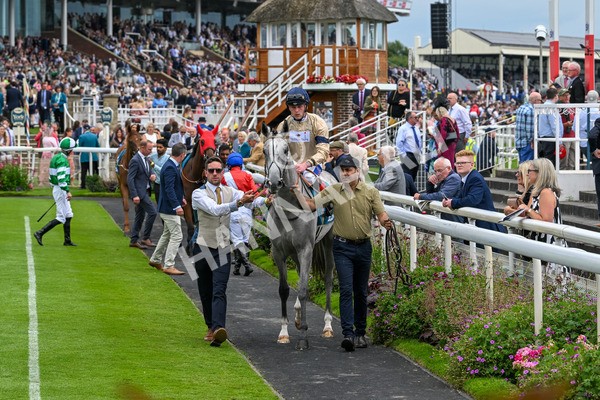 270724-Race 4-Greydreambeliever-7195 - Race 4 4.00pm Sky Bet Club EBF Fillies' Novice Stakes