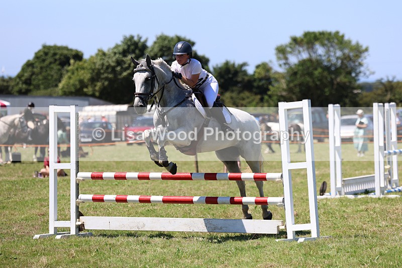 3E7A5621 - Class 9: Senior British Novice/90cm open