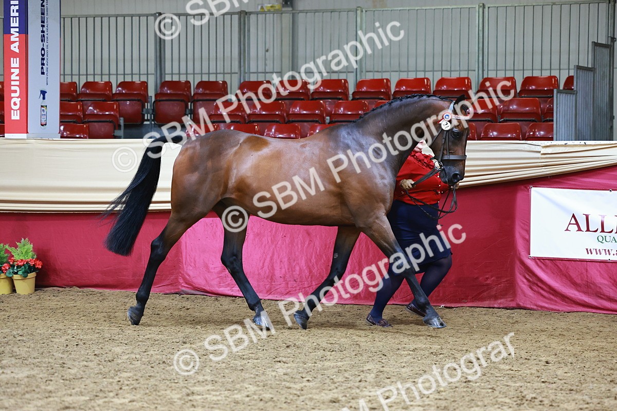 SBM_22252 - Class 902 - Supreme Final - IH Diamond