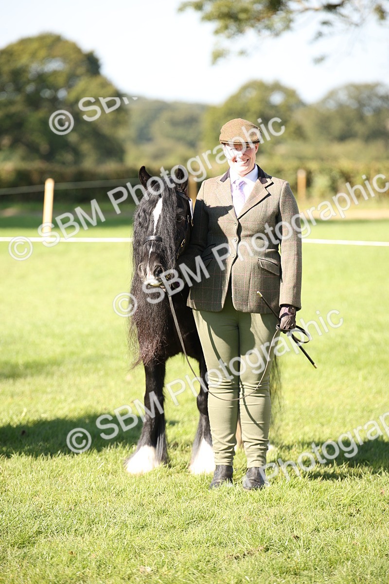 SBM_36675 - S10 - Best In Hand Horse & Pony