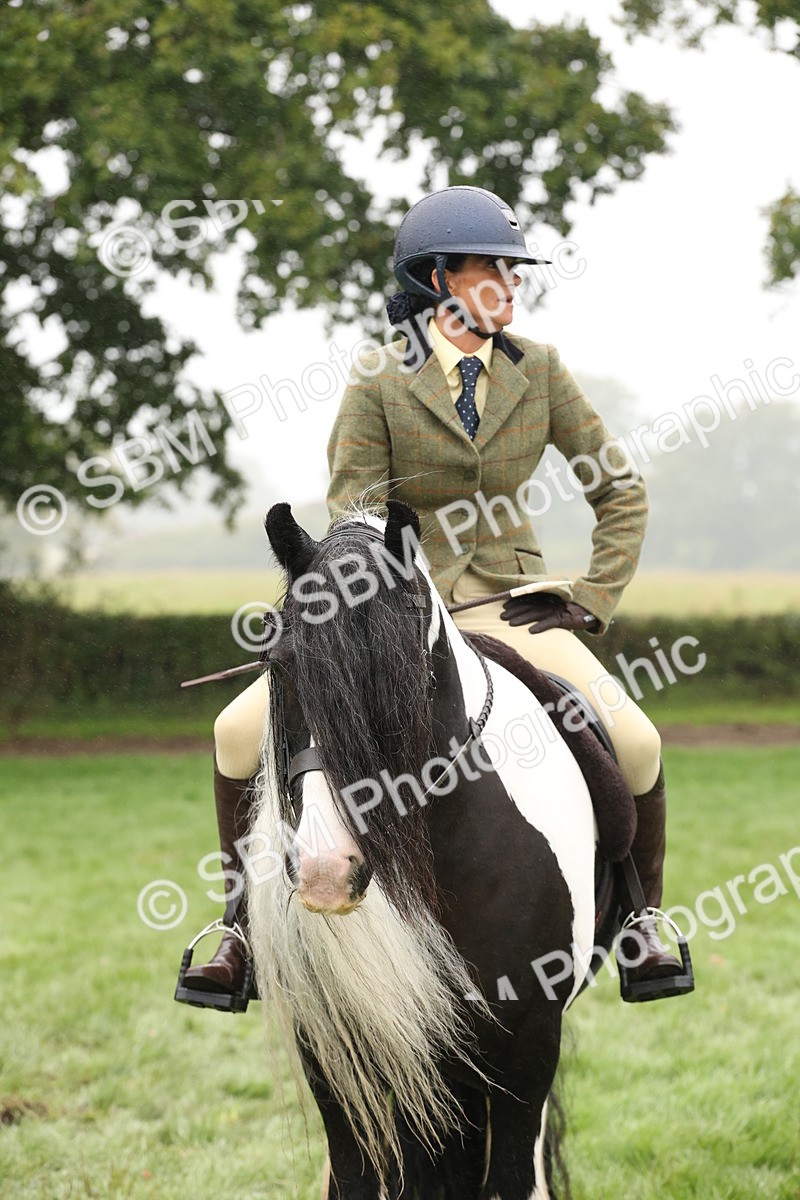 SBM_72813 - S70 - Traditional Cob Ridden